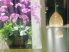 大堂-摩登有记·新派泰国菜(银钻广场店)