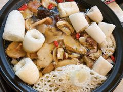 -蘑统田下·野生菌火锅