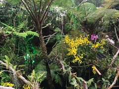 -南通洲际绿博园