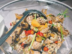 冰镇花螺-阿拉斯加·海货(马王堆店)