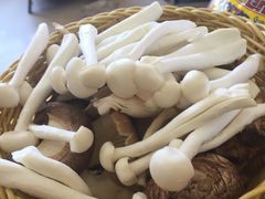 -清真·马家火锅美食城(镇江北路店)