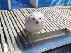 -成都浩海立方海洋公园