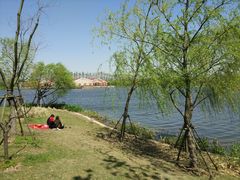 -上海长兴岛郊野公园