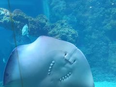 -海合安青岛极地海洋公园