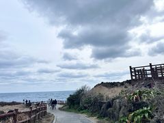 -涉地可支