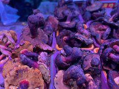 -五里多农博广场