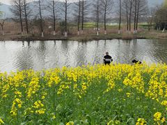 -长广溪湿地公园