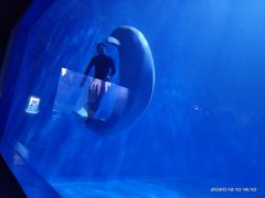 -多彩贵州城极地海洋世界