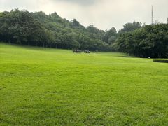 -广州雕塑公园