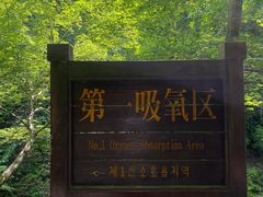 -本溪汤沟绿石谷森林公园