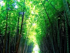 -同里国家湿地公园