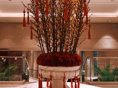 -羿庭 Peacock Alley(上海外滩华尔道夫酒店)