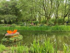 -上海共青森林公园