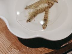 -尚海豆捞(乐虹坊店)