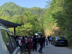 -祁门牯牛降观音堂风景区