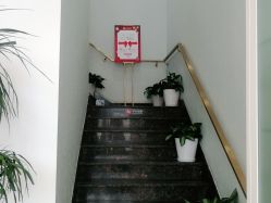 -YESIDO椰岛美容