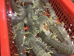 -79号渔船海鲜饭店(华强北店)