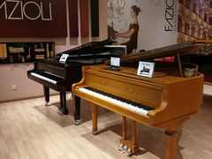 -柏斯音乐艺术中心·钢琴·吉他(世纪金源店)