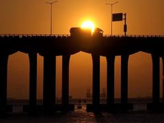 -宝安西湾红树林湿地公园