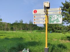 -翠湖国家城市湿地公园