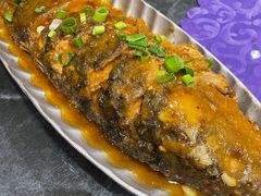 黄焖大鲤鱼-95号酱骨·一块豆腐(展春园西路店)