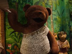 -济州岛泰迪熊博物馆