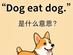 -英孚教育青少儿(高新公园茂中心)