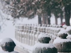 -颐和园