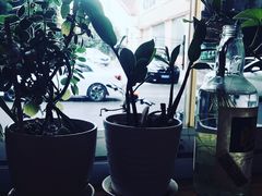 -Egg•Allday Brunch(襄阳北路店)