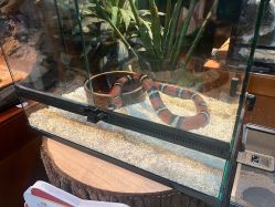 -酷嗒动物文化乐园(cutezoo西溪乐天城店)