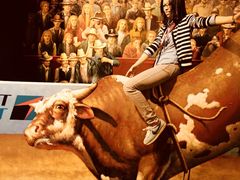 -信不信由你博物馆