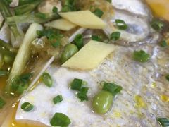 太湖白鱼-元泰酒店