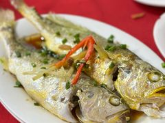 -蛇口康乐快餐鱼仔档(翠苑小区店)