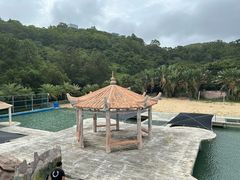 -广东惠东海龟国家级自然保护区