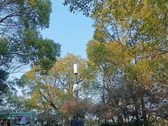 -岳麓山风景名胜区