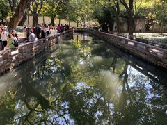 -西园戒幢律寺