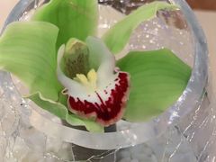 -上海世茂皇家艾美酒店
