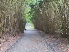 -两河城市森林公园