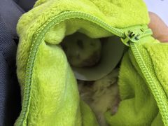 -达爱动物医院·犬猫分区·CT·复杂眼科(远洋山水分院)