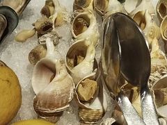 -索菲特酒店·海鲜自助 ·聚餐厅