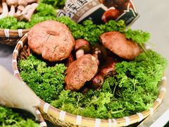 -芸山季·云南野生菌火锅(人民广场来福士店)