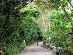 -小南山公园