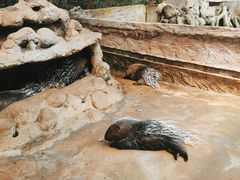 -海南热带野生动植物园