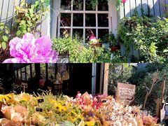 -The Grounds of Alexandria