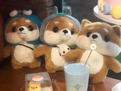 -柴犬高等学院·狗咖·柴犬售卖·宠物训练