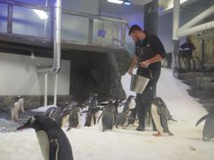 -悉尼海洋生物水族馆