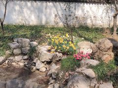 -杭州植物园