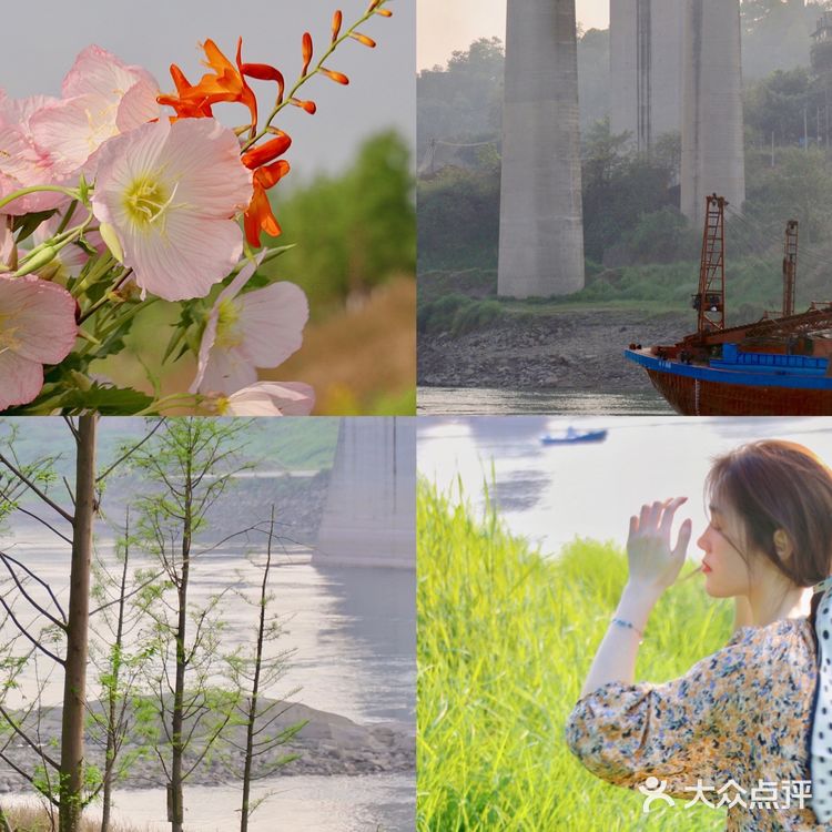 重庆踏青|小众打卡地-九曲河湿地公园