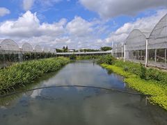 -马陆小张葡萄园农家乐