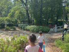 -素山寺森林公园